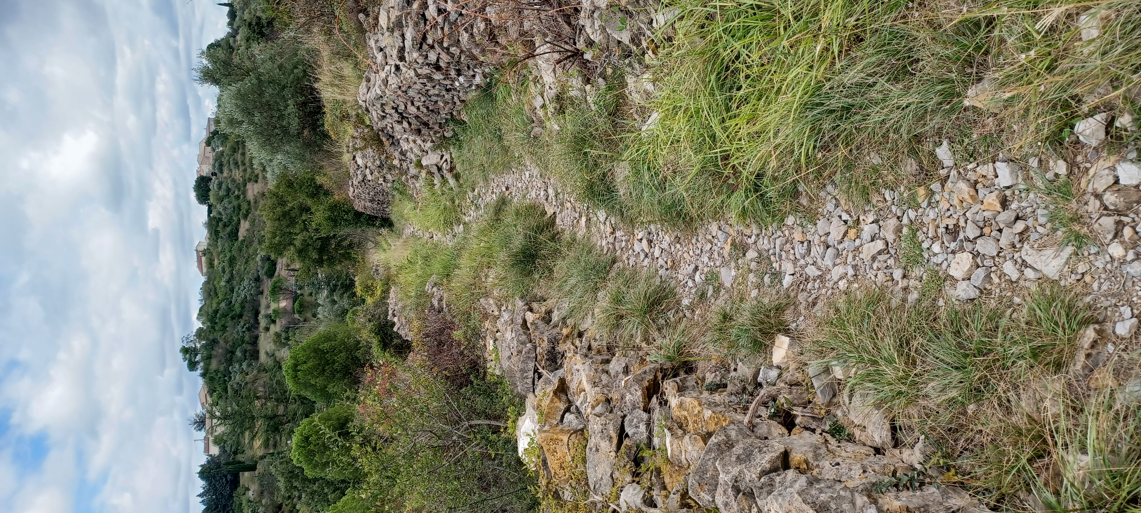 Isabelle Psykoterapi